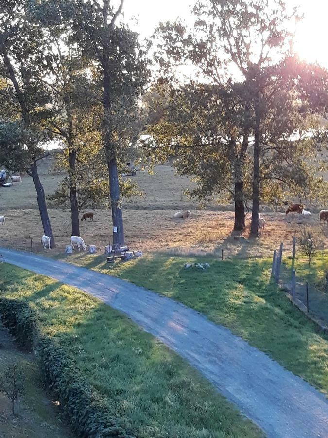 An den Elbwiesen Gästezimmer Weißstorch Nur Nichtraucher Dommitzsch Exterior foto
