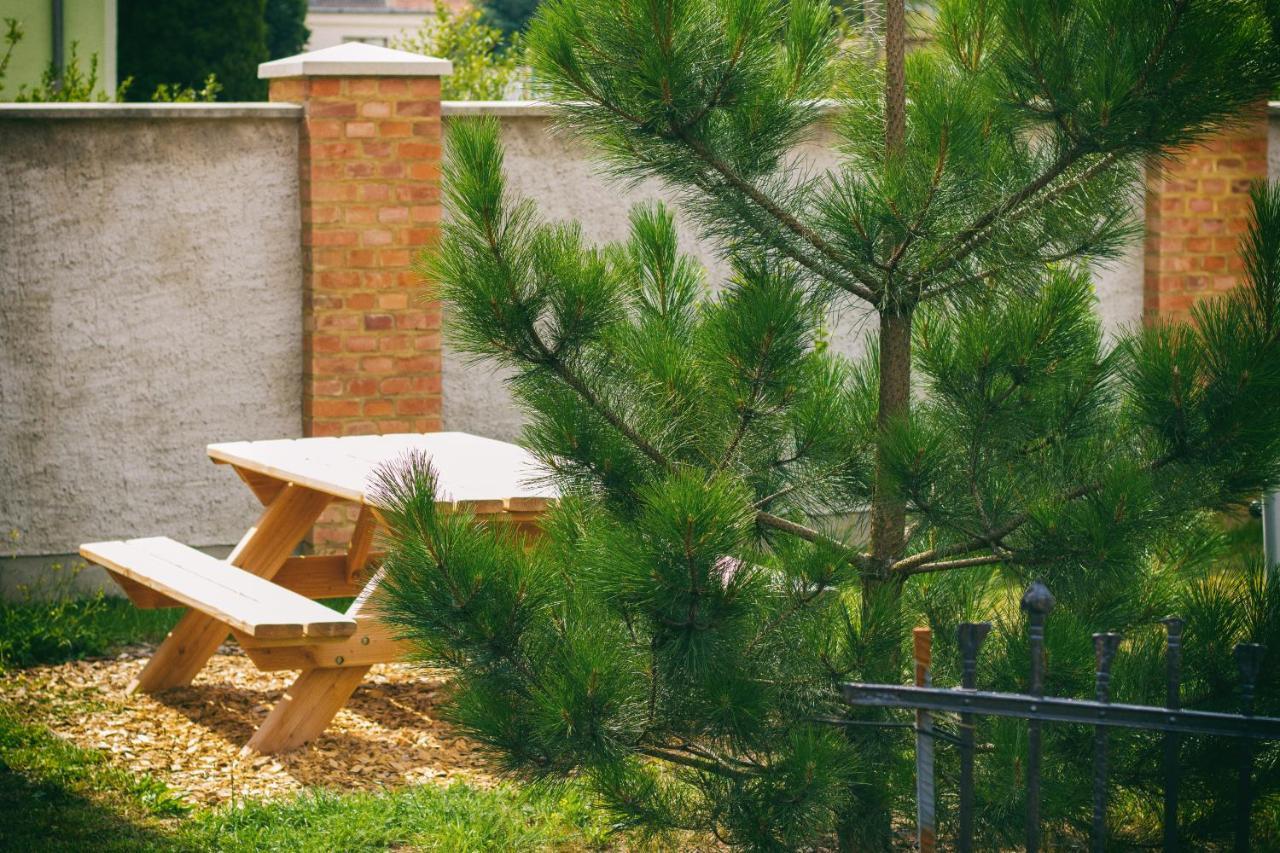 An den Elbwiesen Gästezimmer Weißstorch Nur Nichtraucher Dommitzsch Exterior foto